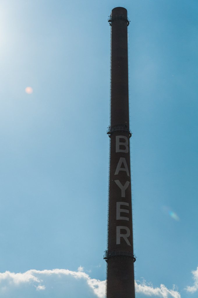 Bayer Exhaust